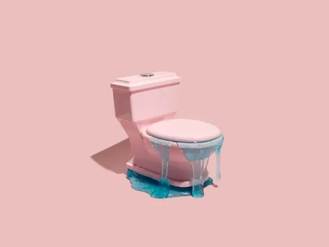 toilet